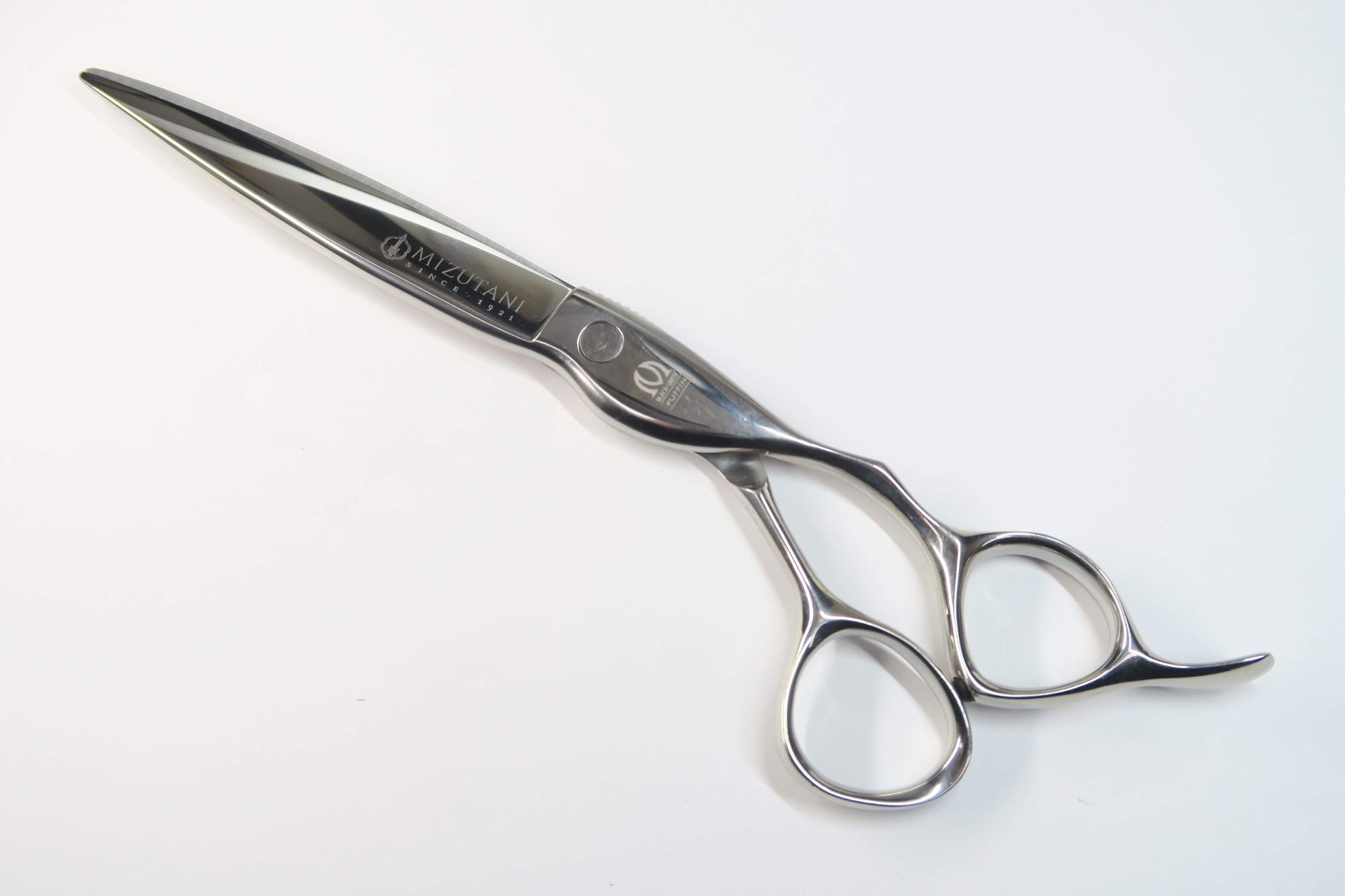 楽天市場】ミズタニシザーズの通販