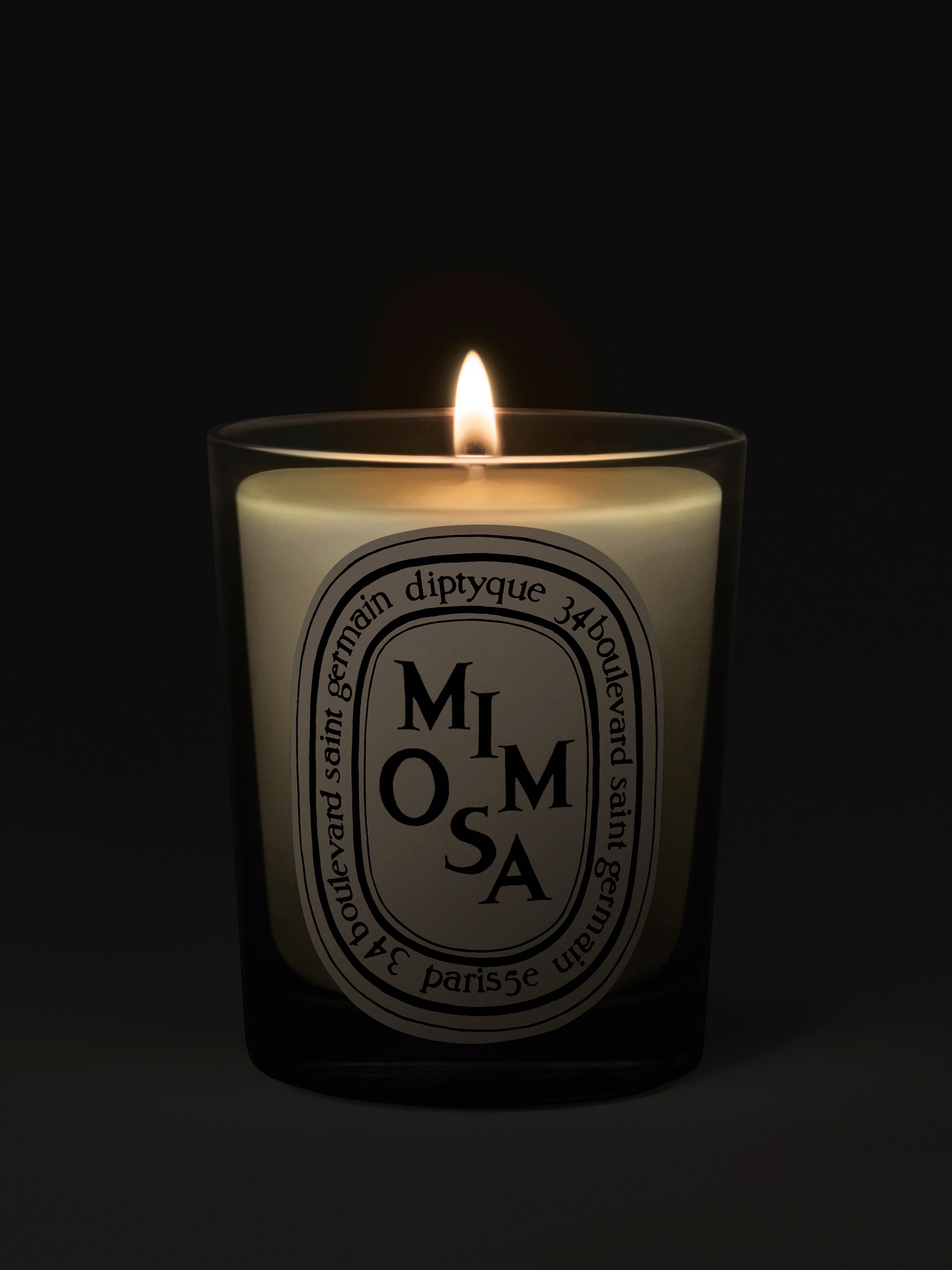 Mimosa (ミモザ) - クラシックキャンドル | Diptyque Paris