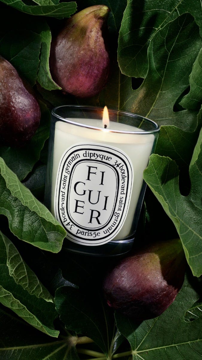 Figuier（フィギエ） - クラシックキャンドル | Diptyque Paris