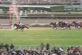 JRAホームページ｜データファイル｜競走成績データ