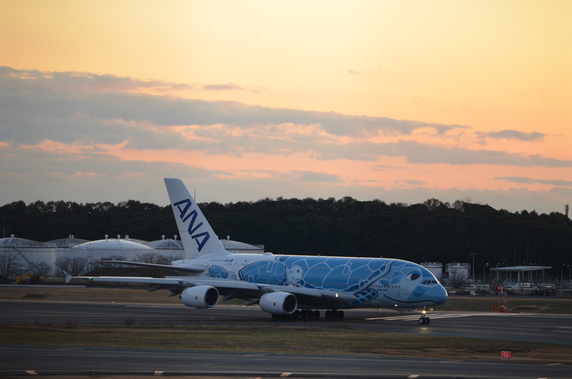 ハワイ専用飛行機のフライングホヌ「カイくん」がお散歩飛行へ