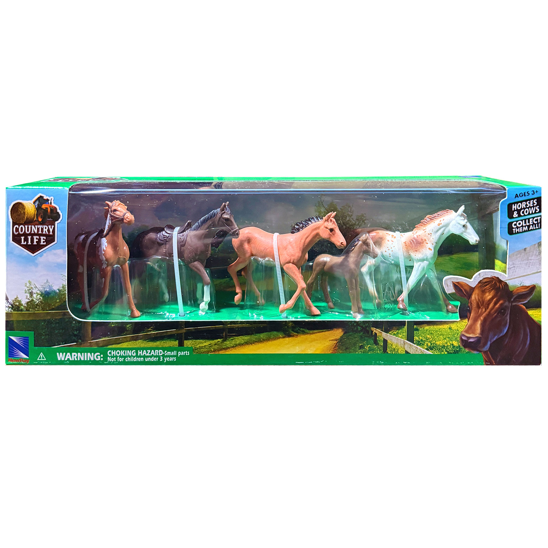 Wilcor International Wholesale Importer, Outdoor Gear,Camping