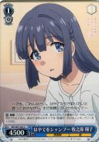 かけがえのない存在 牧之原 翔子【ヴァイスシュヴァルツトレカお買得