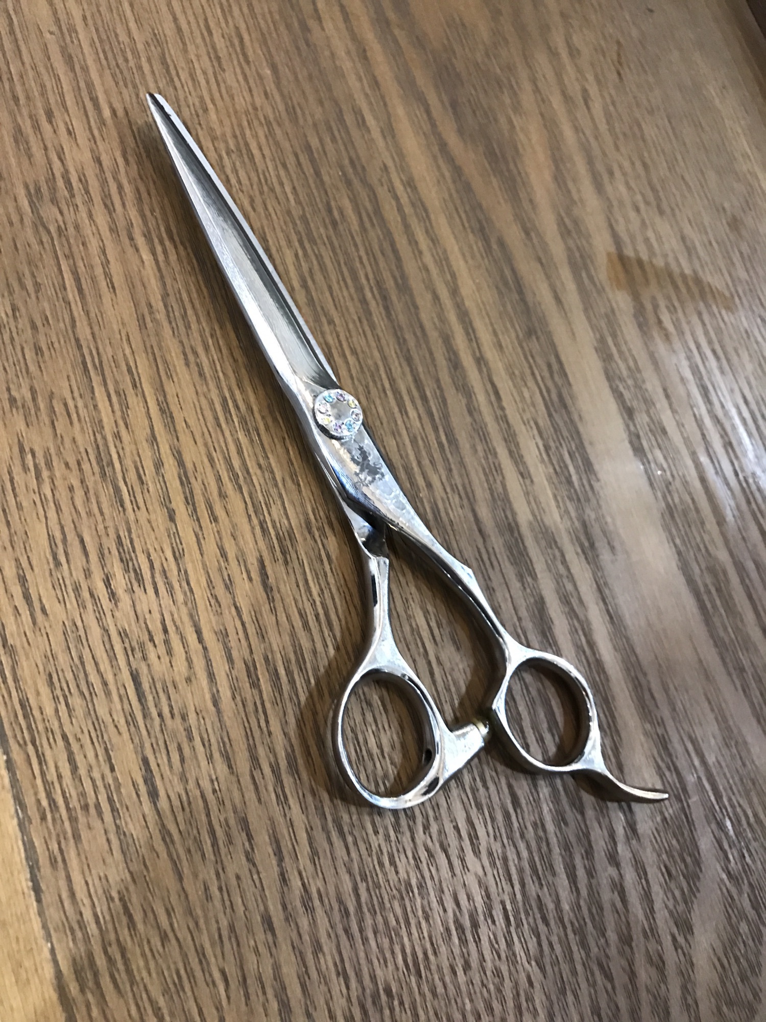 TRACK SCISSORS トラックスシザー DIA63