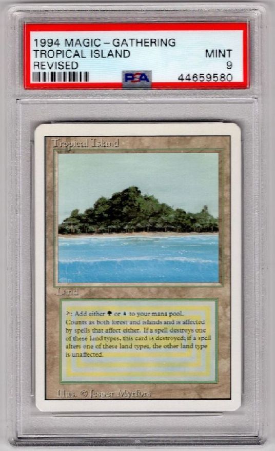 Tropical Island》[3ED] 土地R | 日本最大級 MTG通販サイト「晴れる屋」