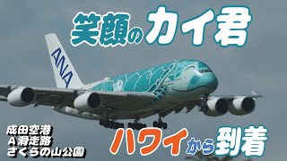 4K】成田空港 さくらの山公園 全日空 超巨大旅客機 フライング・ホヌ