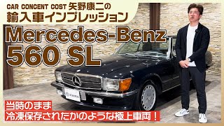 855 当時のまま冷凍保存されたかのような極上車両！メルセデスベンツ
