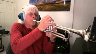 リン・ニコルソン 新品トランペットマウスピース ニコルソンXピース