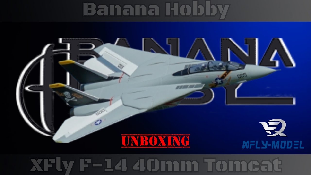 XFly-Model F-14 Tomcat Twin 40mm RC EDF Jet from Banana Hobby