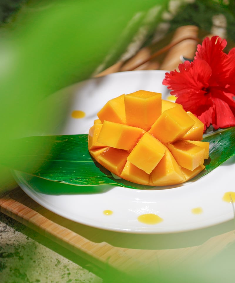 宮古島産「巨果・幻のキーツマンゴー」2玉 | Blue Turtle Farm & Mango