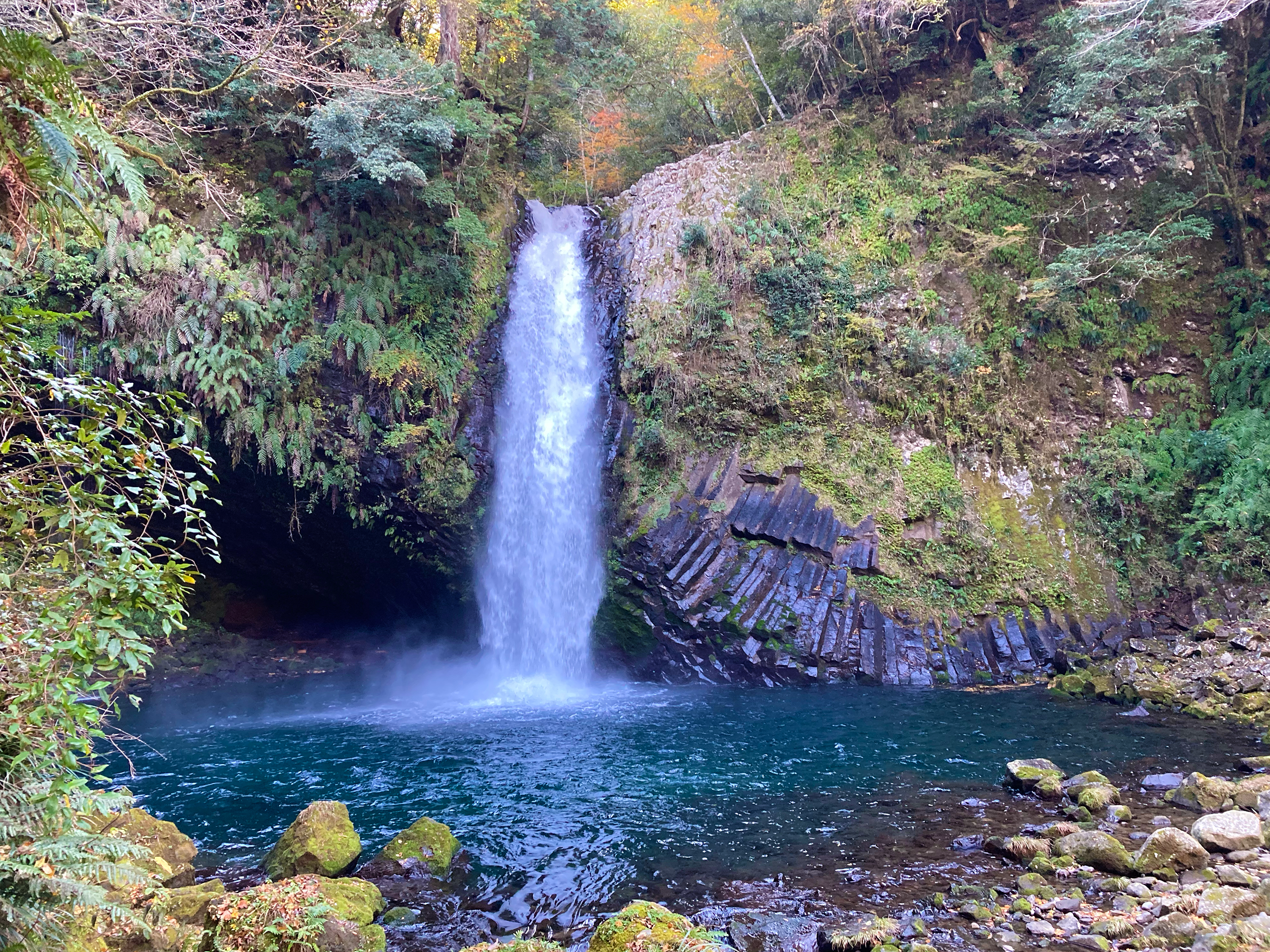 浄蓮の滝観光センター 公式ページ | 浄蓮の滝の公式ホームページ