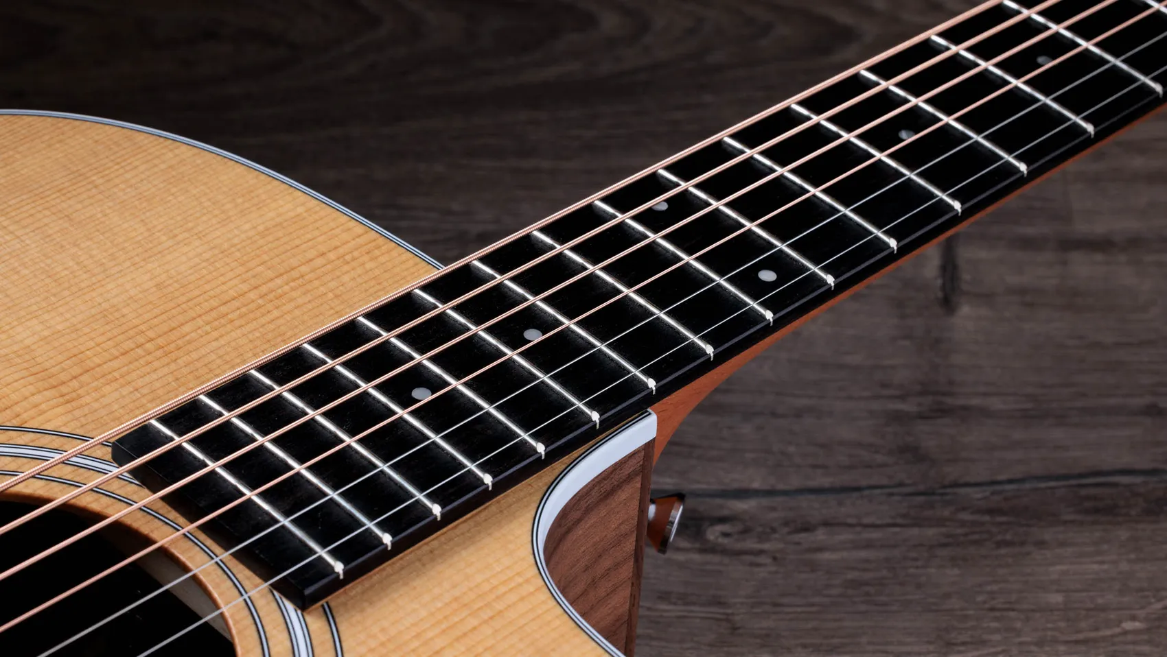 210ceWalnutアコースティック エレクトリック ギター | Taylor Guitars