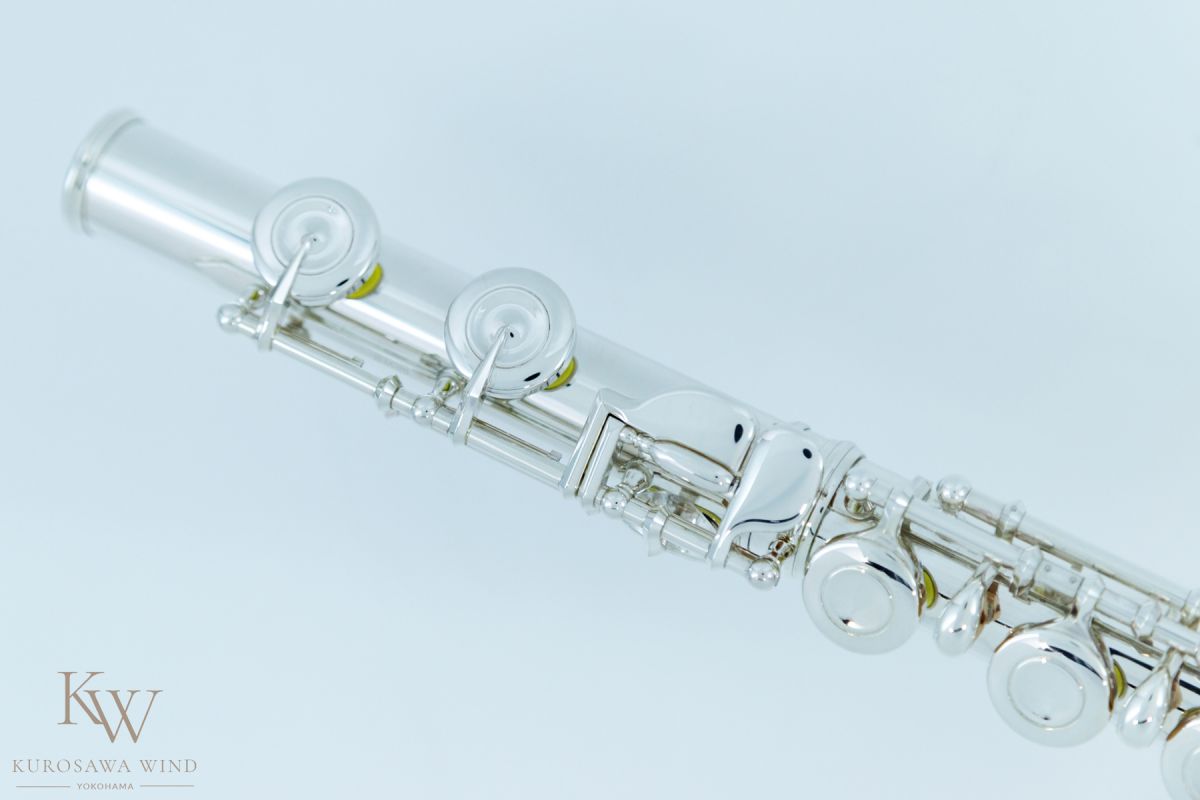 DS CCE | 【クロサワ楽器店オンラインショップ】いい楽器とのいい
