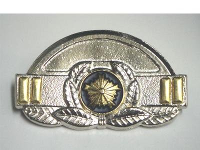 Amazon.co.jp: 階級章（レプリカ）◇警察グッズ 撮影用 観賞用 演劇用