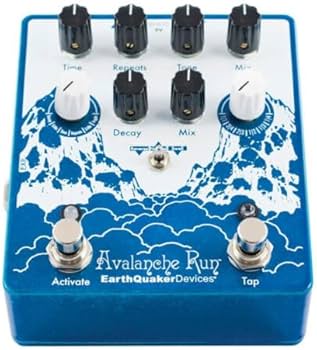 Amazon.com: EarthQuaker Devices Avalanche Run V2 Stereo Reverb