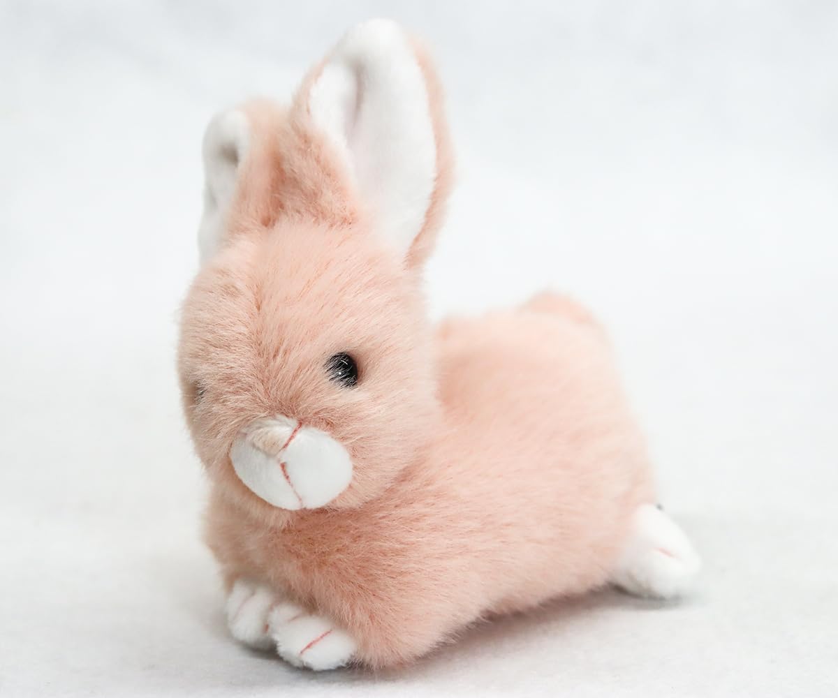 Amazon.co.jp: テイクオフ プチ ラパン(うさぎ)ピンク : おもちゃ
