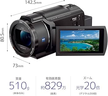 Amazon | SONY(ソニー) 4K ビデオカメラ Handycam FDR-AX45(2018年