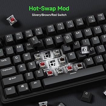 Amazon.com: RK ROYAL KLUDGE R75 Wired Mechanical Gaming Keyboard