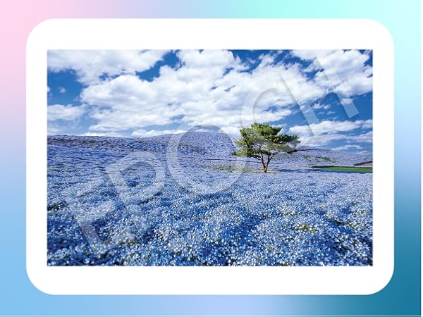 Amazon | エポック社 1000ピース ジグソーパズル 日本風景 遥かな尾瀬