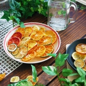 愛媛/げんき本舗〉シトラスチップス