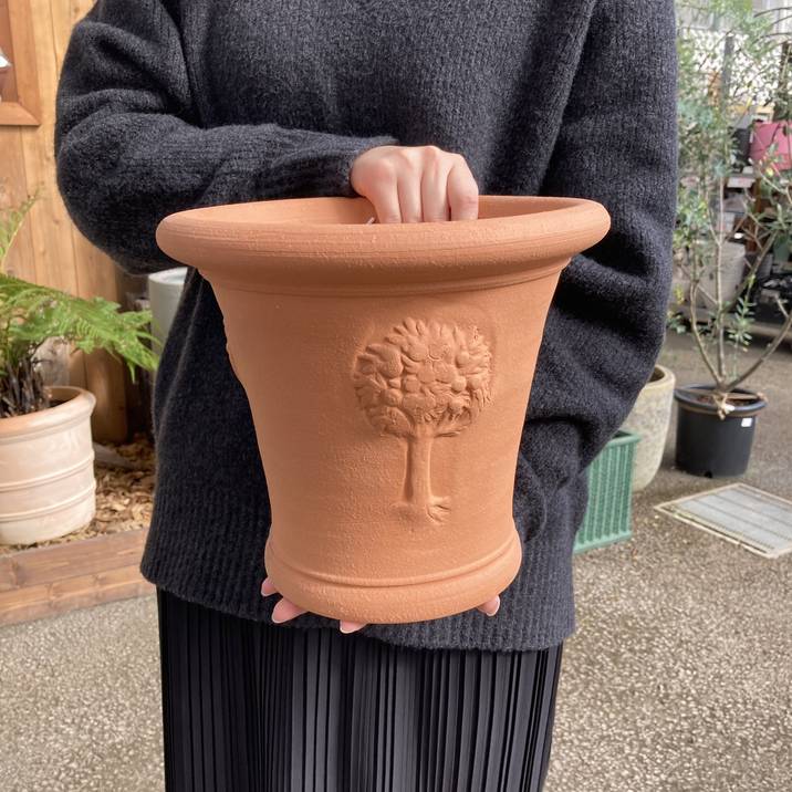 テラコッタ鉢 ウィッチフォード Whichford RHS Apple Tree Pot rhs18