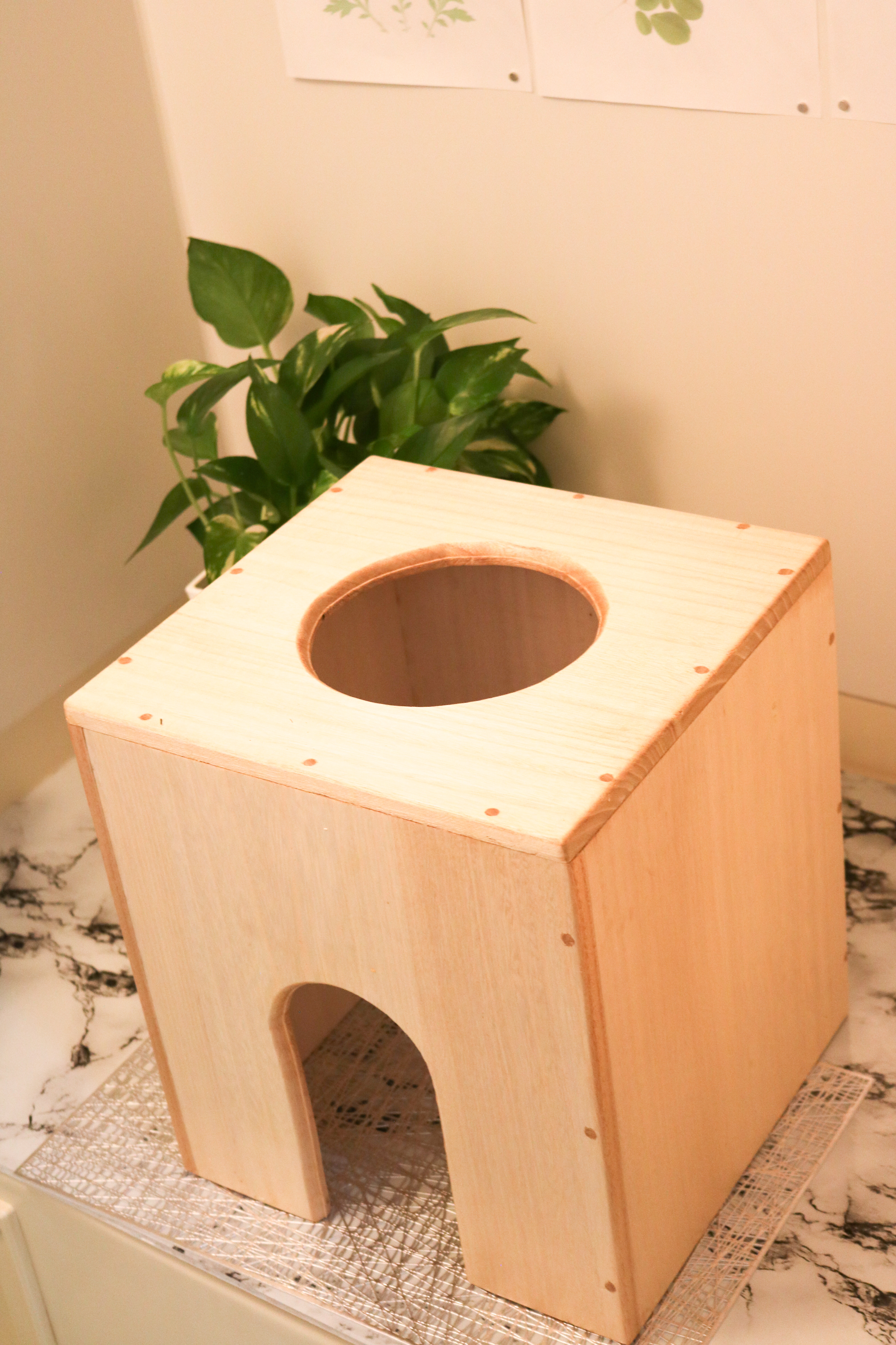 ハーブ蒸し専用椅子】 国産桐使用 | 岡山・瀬戸内グルメと特産品通販