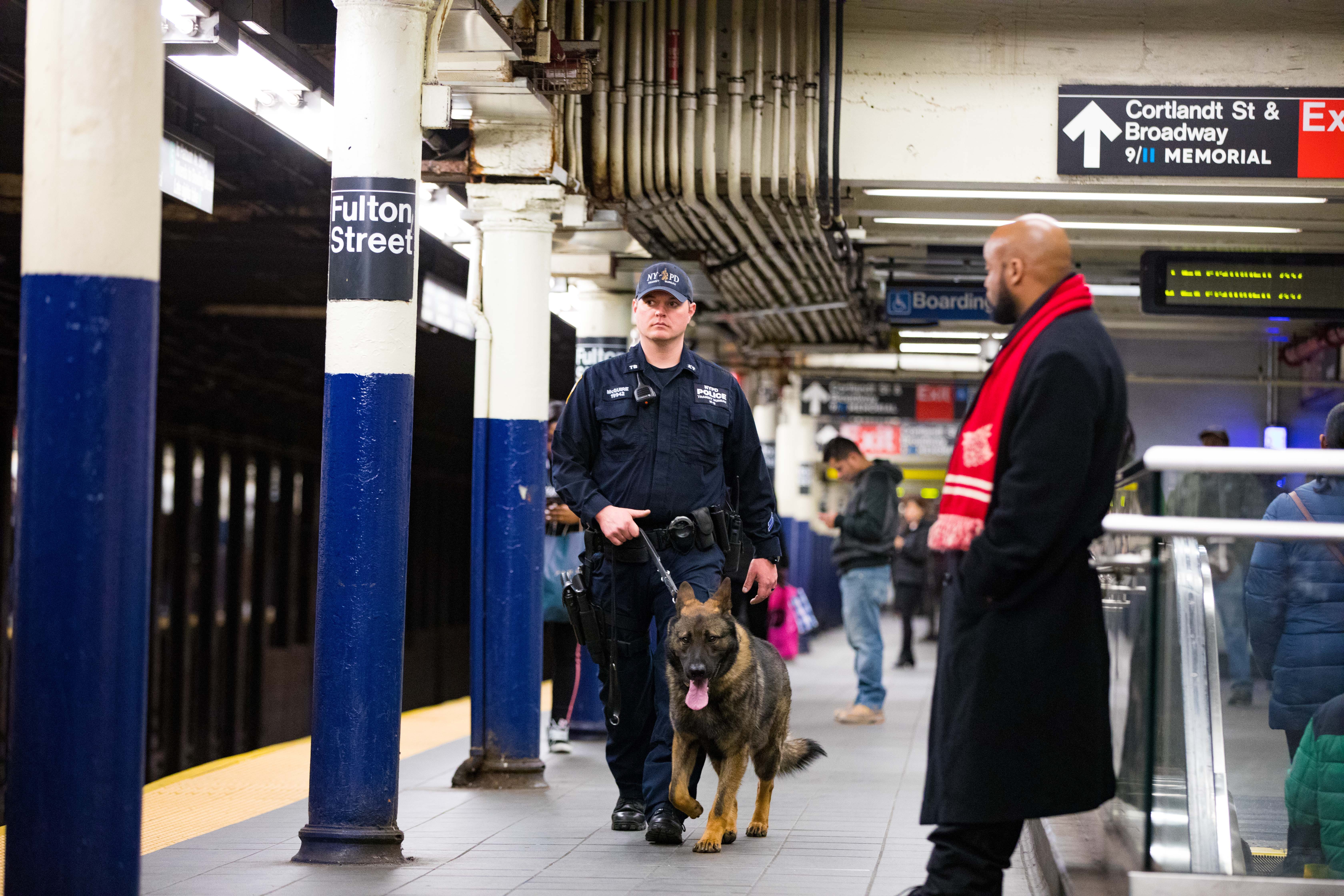 NYPD Transit Bureau K-9 Unit. Meet K-9's Cardillo and Zane of the