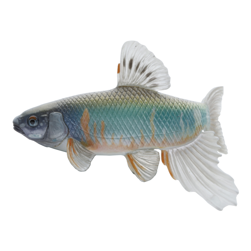 NTC 日本の清流 増補特装版 – ネイチャーテクニカラー公式