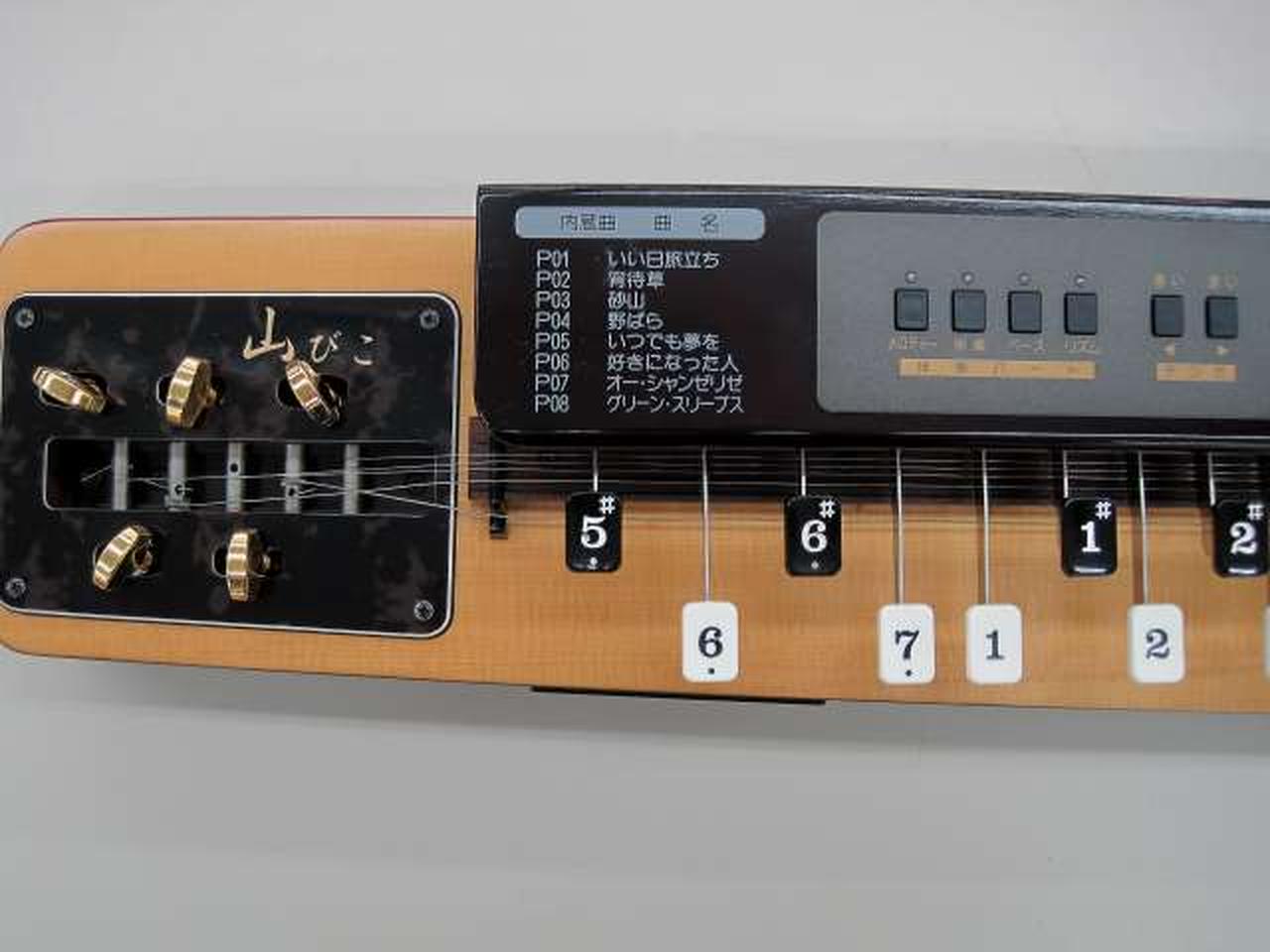 SUZUKI|電子大正琴 山びこ TES-150|【ハードオフ公式通販】オフモール