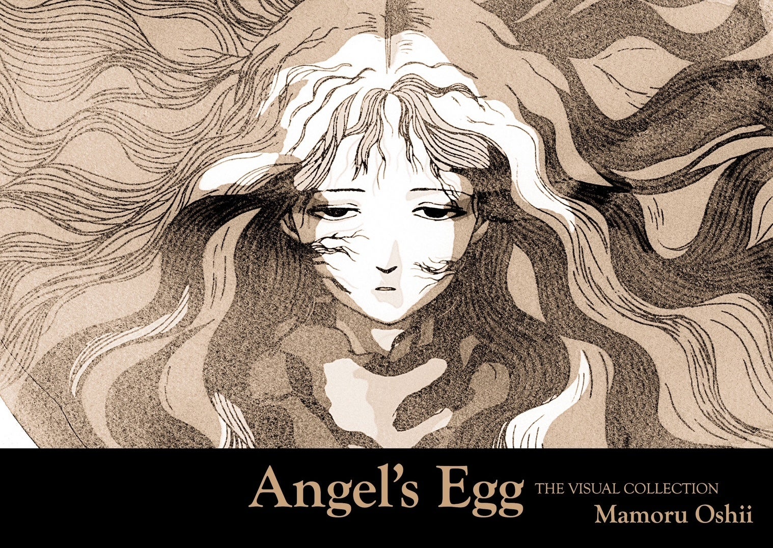 購入特典・先行販売 情報発表】『天使のたまご THE VISUAL COLLECTION
