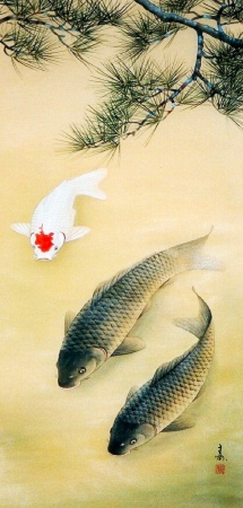 松に鯉 (日本画 / 掛軸) 川井 啓寿 | 楽描庵のブログ