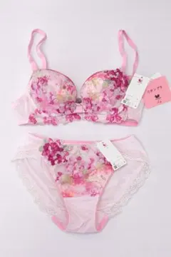 2026年最新】b70 ワコールの人気アイテム - メルカリ