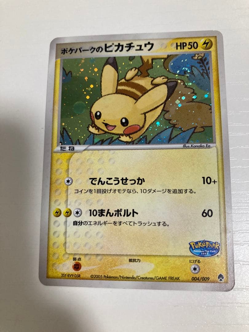 r*i様 ポケパーク　ピカチュウ