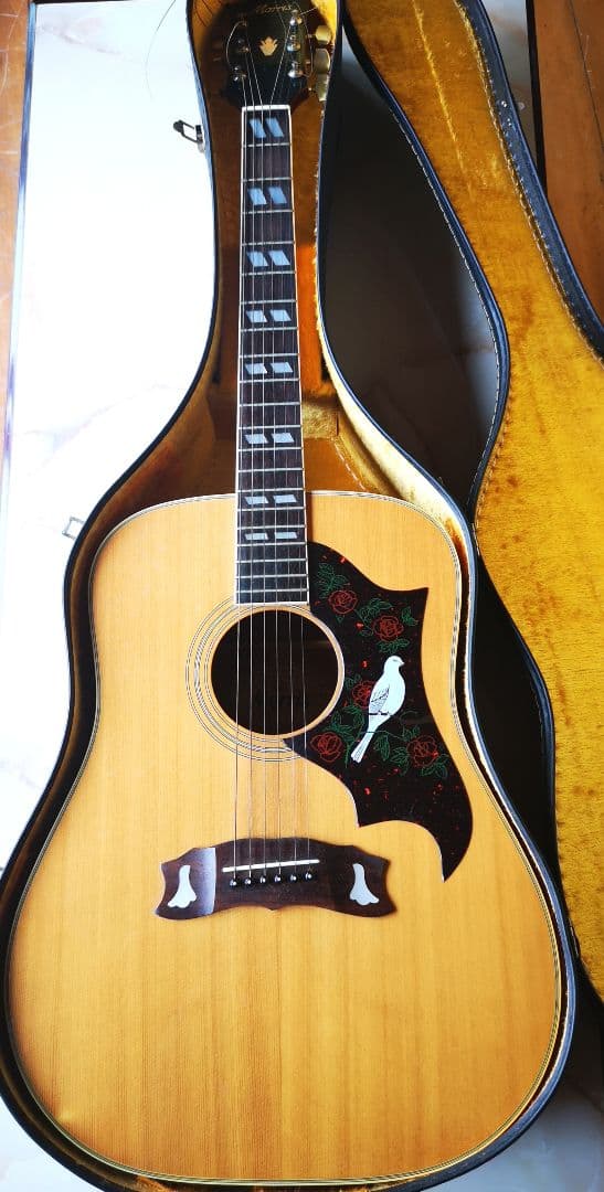 Morris モーリス WD-25N アコースティックギター ダヴモデル