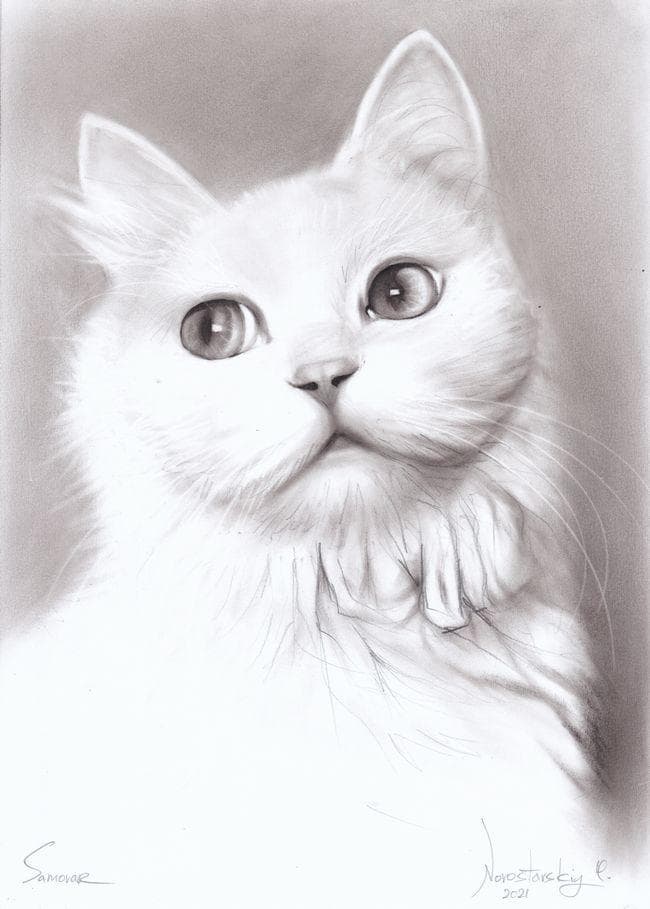 イラスト原画　ふんわりとした手触りが伝わる　「白猫」