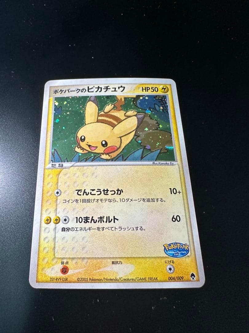 ポケパークのピカチュウ　プレミアムファイル