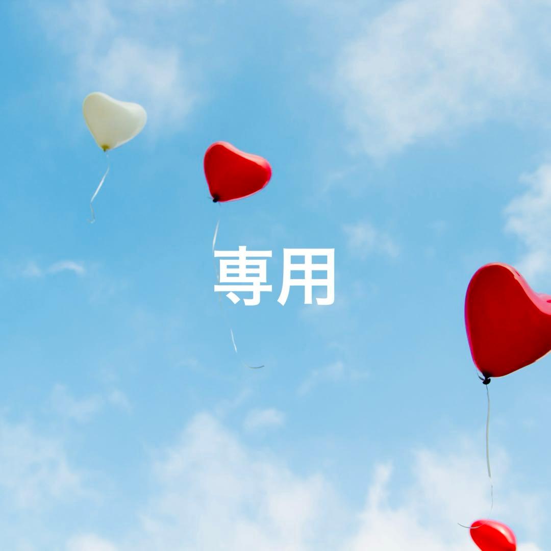 ニナファーム アクティアージュプレシャス＋ パスティーク＋