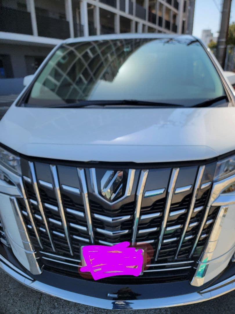 専用！ アルファード　30系　 フードトップとボンネットミラーカバー