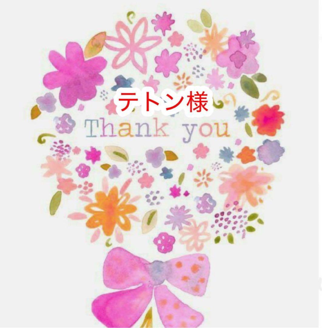 テトン様 リクエスト 3点 まとめ商品