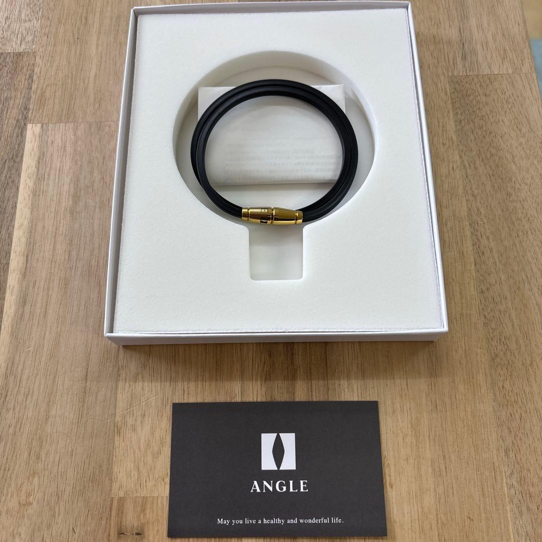 ANGLE MODEL 02 ネックレス Mサイズ 楽天市場】【ふるさと納税】【高木美帆着用モデル】アングル e.モデル