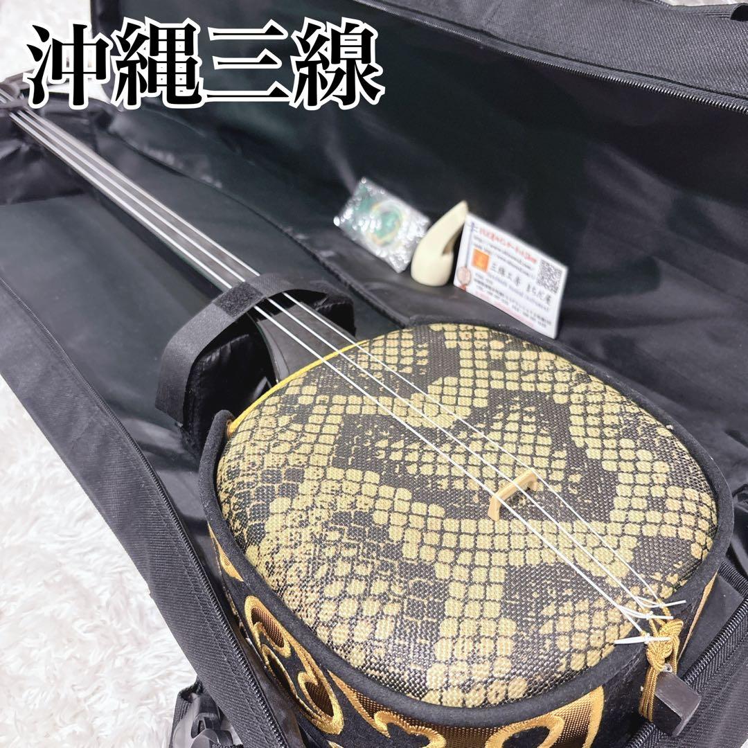 沖縄三線 人工革 初心者 ケース 予備弦 駒 ツメ付き