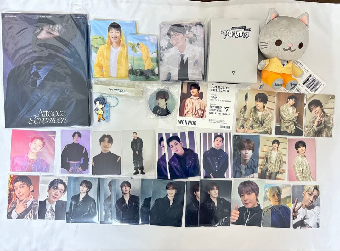 ウォヌ トレカ まとめ売り SEVENTEEN セブチ