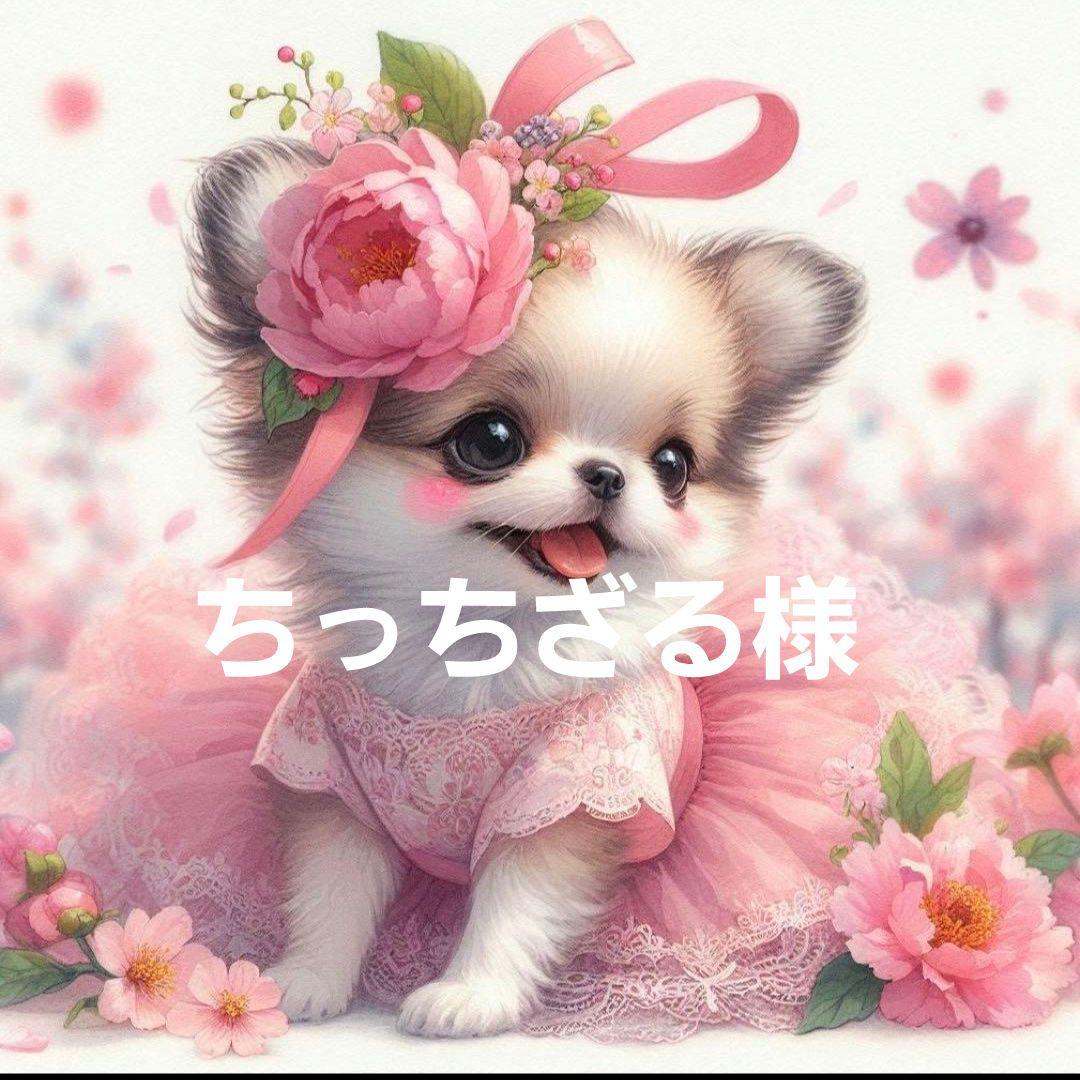 ちっちざる