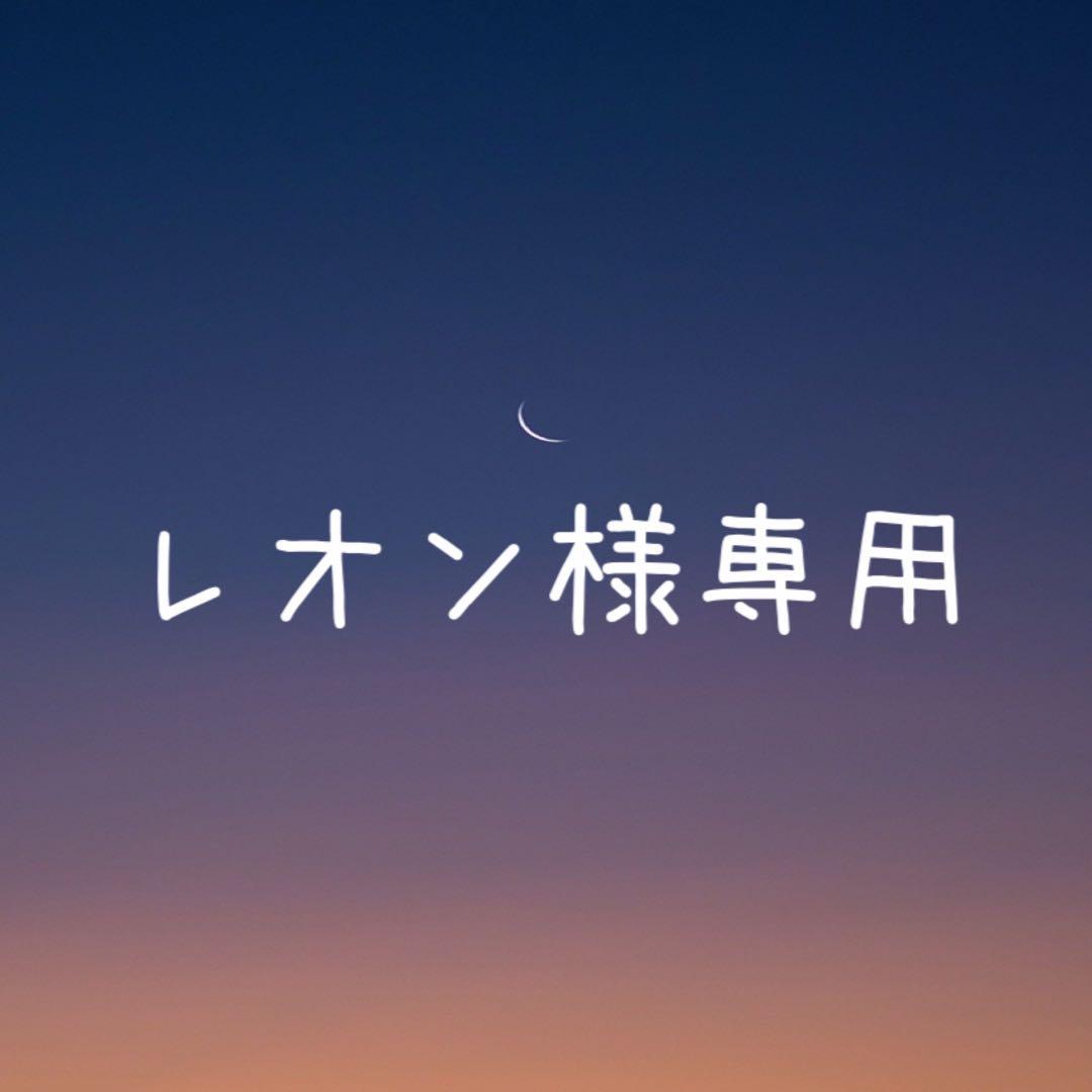 【レオン様】天然石ピアスおまとめ5点 Ops.（オプス） 爆買 ピアス レディース 5連 ピアス 揺れる かわいい