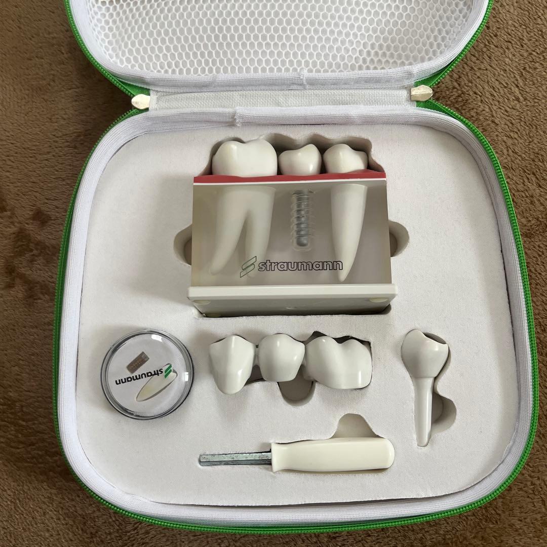 Straumann 模型