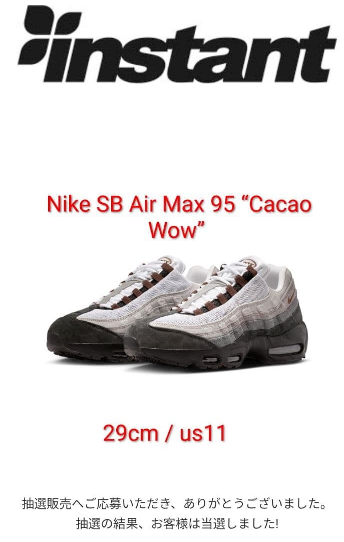 靴 Nike SB Air Max 95 Cacao Wow 29cm / us11