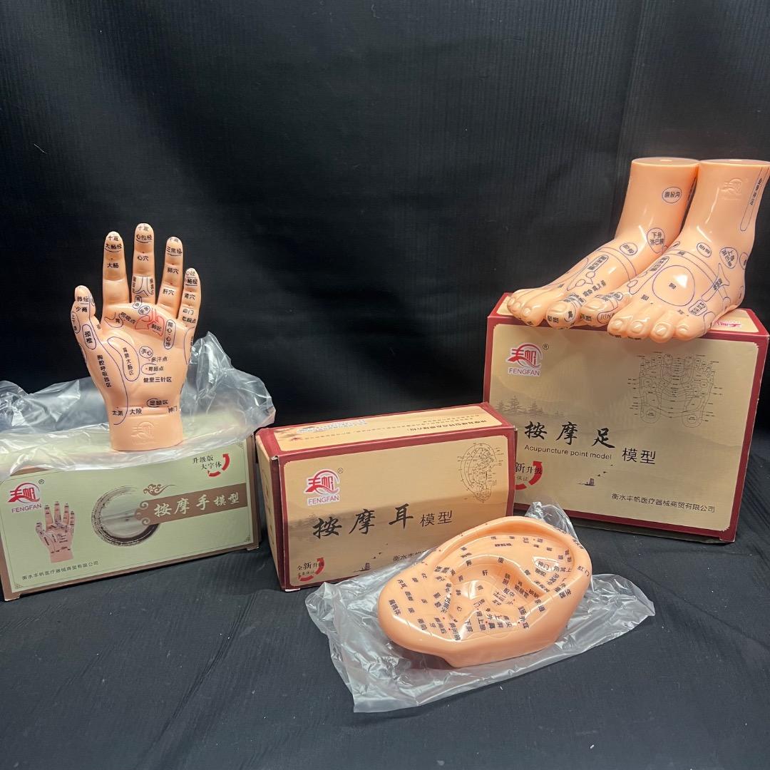 〇Od54 未使用保管品 鍼 ツボ モデル 手 耳 足 3点まとめ Amazon.co.jp: 4 アイテム 耳と手と足のツボモデル 耳ツボ 模型 手鍼