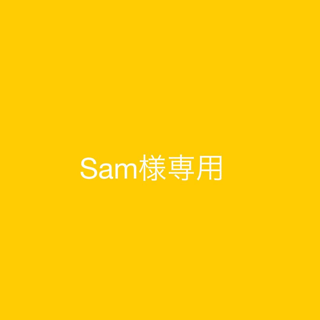 語学・辞書・学習参考書 Sam
