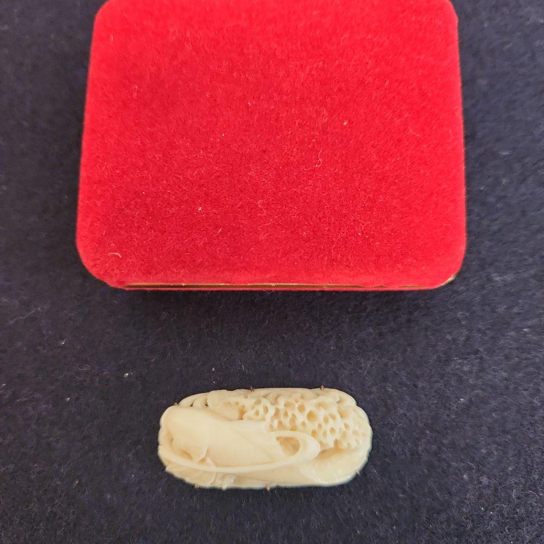 a*i様 帯留め‥白珊瑚