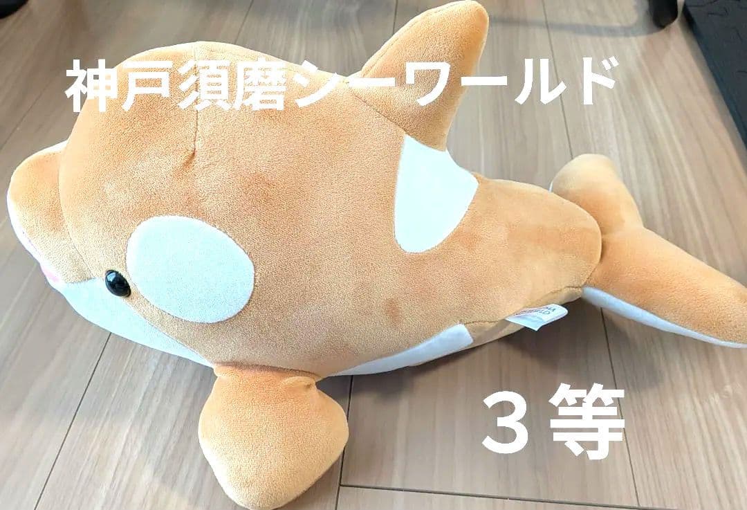 神戸須磨シーワールド シナモンカラー オルカくじ 3等 - メルカリ